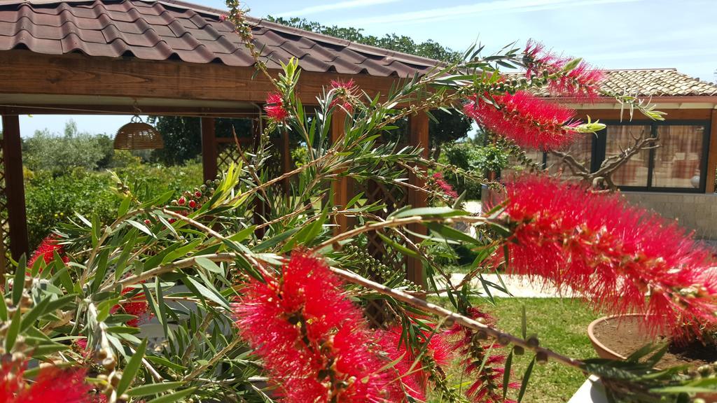 Alla Corte Di Nonna Maria Villa Pozzallo Kültér fotó